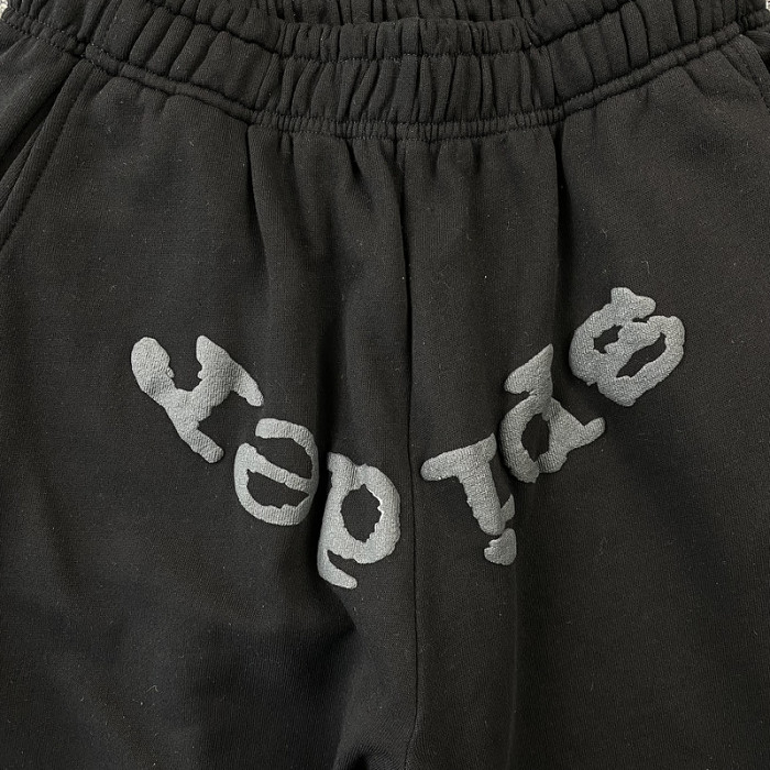 Spider PANTS17